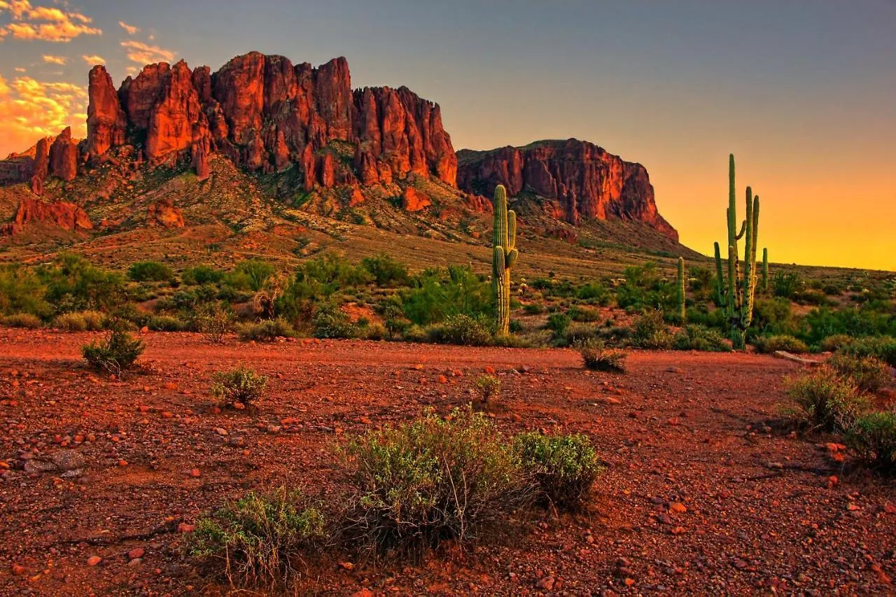 Southwestern Siesta Scottsdale